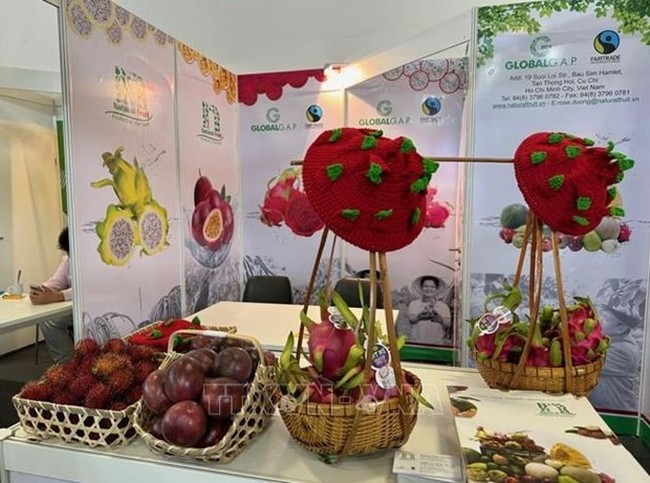 Vietnamese fruits showcased at Fruit Logistica 2024 (Photo: VNA)