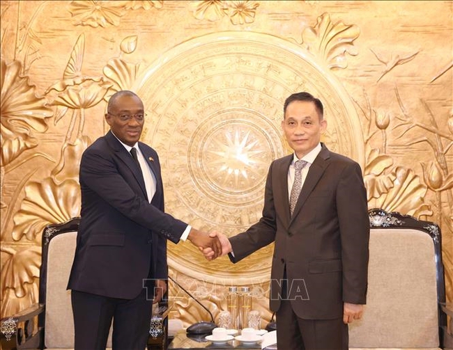 Chairman of the CPV Central Committee's Commission for External Relations Le Hoai Trung (R) and member of the RHDP's Standing Committee Sahy Claude Soumahoro.(Photo: VNA)