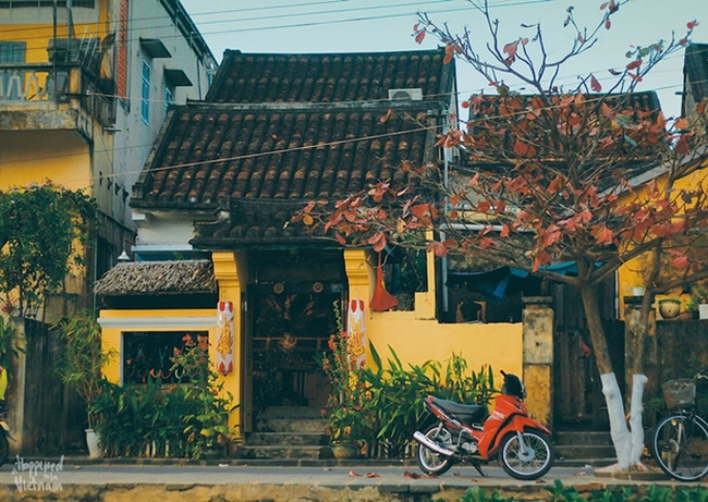 Việt Nam bình dị: Hãy cùng khám phá hình ảnh về Việt Nam bình dị với những cảnh sắc tuyệt đẹp, con người đầm ấm và truyền thống văn hóa đặc sắc của đất nước ta.