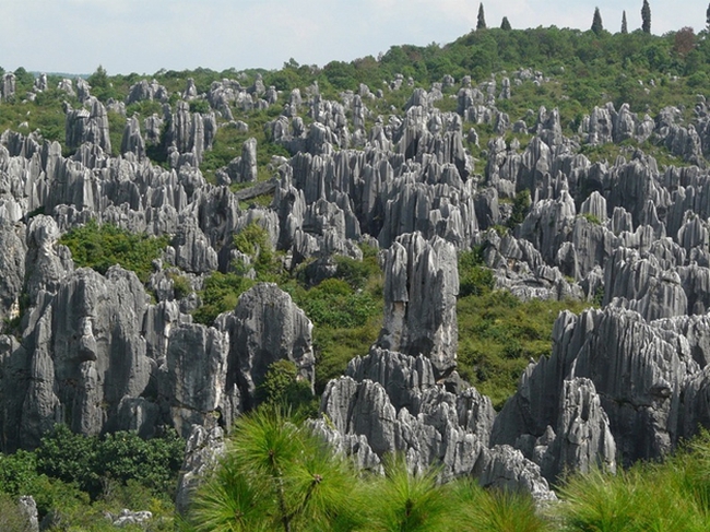 Thạch Lâm: Thạch Lâm là một thắng cảnh thiên nhiên tuyệt vời tại Việt Nam. Đây là một khu vực đá vôi lớn được gọi là \