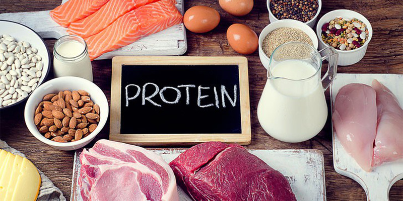 Image result for thực phẩm giàu protein