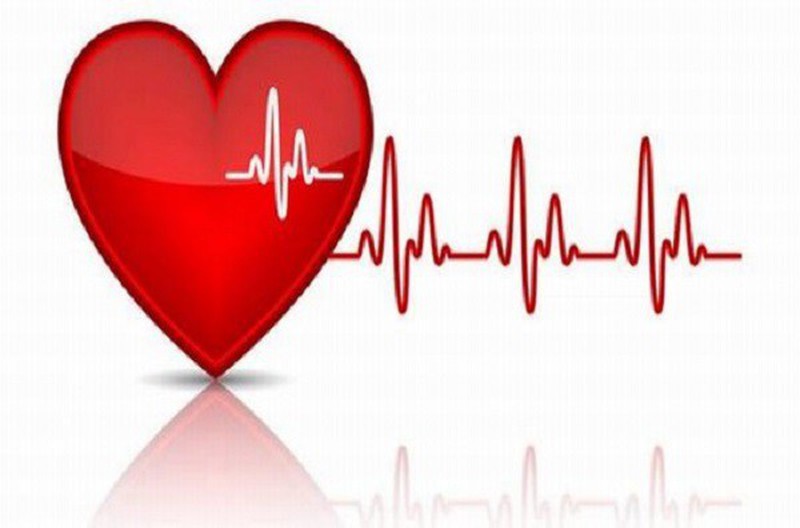 Nhịp tim: Hãy xem hình ảnh về nhịp tim để hiểu rõ hơn về cơ thể và cách giữ gìn sức khỏe. Hình ảnh sẽ giúp bạn tìm hiểu về cấu tạo của tim, khả năng phát hiện các vấn đề sức khỏe liên quan đến nhịp tim và cách duy trì một chế độ ăn uống và sinh hoạt lành mạnh.