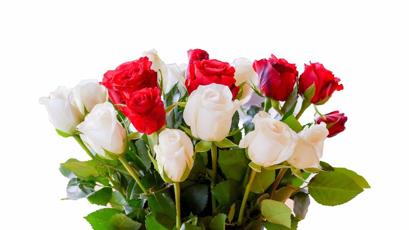 Công dụng hoa hồng: Hoa hồng không chỉ đơn thuần là một loài hoa đẹp mà còn có nhiều công dụng tuyệt vời như tạo không gian thư giãn, giảm stress, cân bằng tinh thần, trị liệu cho các bệnh lý. Đừng bỏ qua cơ hội khám phá những công dụng tuyệt vời của hoa hồng.