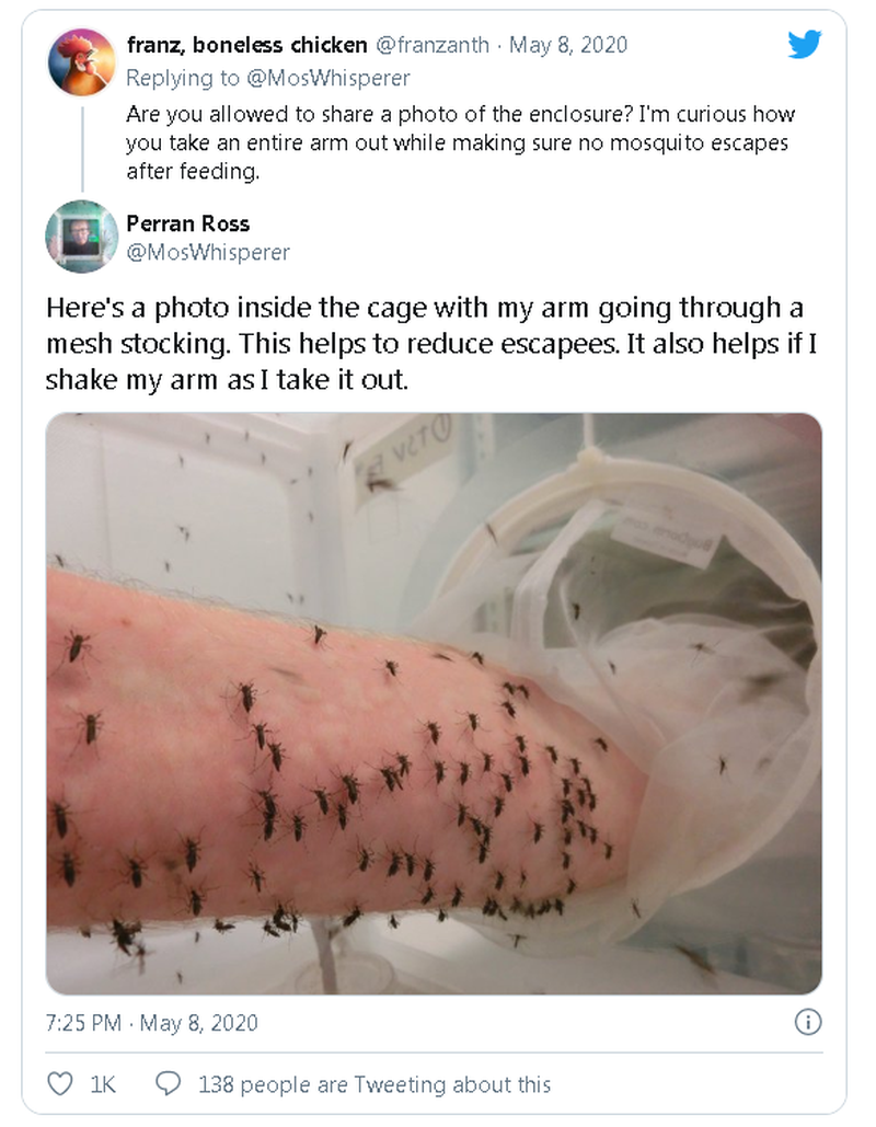 Nhà khoa học để hàng nghìn con muỗi đốt để nghiên cứu điều trị sốt ...
