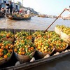 Co-operative model boosts agriculture in Mekong Delta