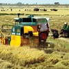 Farming model increases profits, lowers emissions