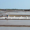 Hot weather lifts Ben Tre salt yield by 30%