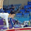 Viet Nam’s golden hopes riding on gymnast squad