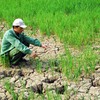Vietnam committed to fighting climate change