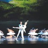 Russians to present Swan Lake in 3D format in Hanoi