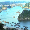 Belgium to help with environmental protection in Ha Long Bay
