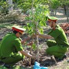 Heritage trees raise awareness over environmental protection