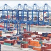 50% export containers enjoy online payment channel