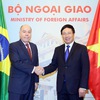 Vietnamese, Brazilian foreign ministers hold talks