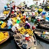Mekong Delta struggles to attracts investment