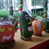 Eye-catching vegetables – a new direction for Da Lat’s agriculture