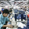 More efforts needed for the Vietnam leather and footwear industry to thrive