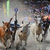 Bay Nui Ox Race Festival celebrated in An Giang Province