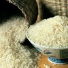 Vietnam’s rice exports estimated to reach 6.8 million tons