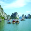 Recent visa exemptions stir Vietnam's tourism industry