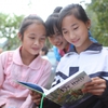Free library for children in remote areas