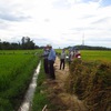 Vietnamese farmers prepare for int’l integration