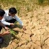 Vietnam actively copes with consequences of El Nino