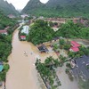 Heavy rains prompt emergency efforts