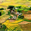 Vietnam seeks ways to promote tourism