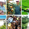 Vietnam and Japan bolster agriculture co-operation