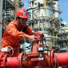 PetroVietnam kicks off port and warehouse project