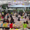 Hanoi Book Fair 2015 lures book lovers