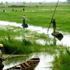 Mekong Delta prepares for coming trade agreements