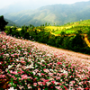 Beauty of Ha Giang promoted in Hanoi