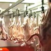 Pork, beef imports from EU to rise sharply