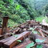Southern localities review forest protection activities