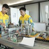 Vietnam attracts high-skilled ASEAN labour