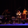 Tri Minh Quartet to perform contemporary set in Ha Noi