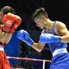 HCM City to host pro boxing tournament