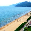 Binh Dinh: Intact beaches appeal to foreign visitors