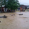 Heavy rainfall, floods hit Northern Vietnam