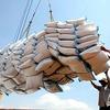 Rice exports to Africa achieve a 50% increase