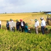 Mekong aims to attract more farm tech