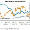 ANZ: USD to settle at VND23,000 at year-end