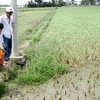 Netherlands provide Mekong Delta climate change mitigation support