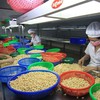 Vietnam remains world’s top cashew exporter