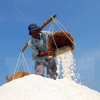 Deputy PM urges salt purchases to help farmers
