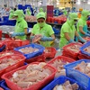Tra fish exports expected to drop 5% this year