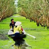 U Minh Thuong National Park biodiversity recognised