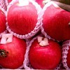 Vietnam opens the door for Japanese apples